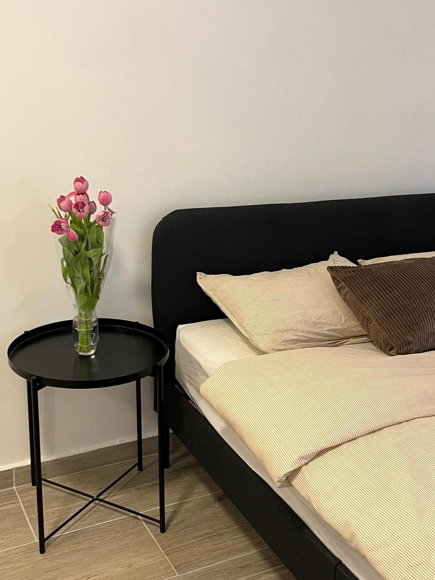 Rue Blaes Appartement *